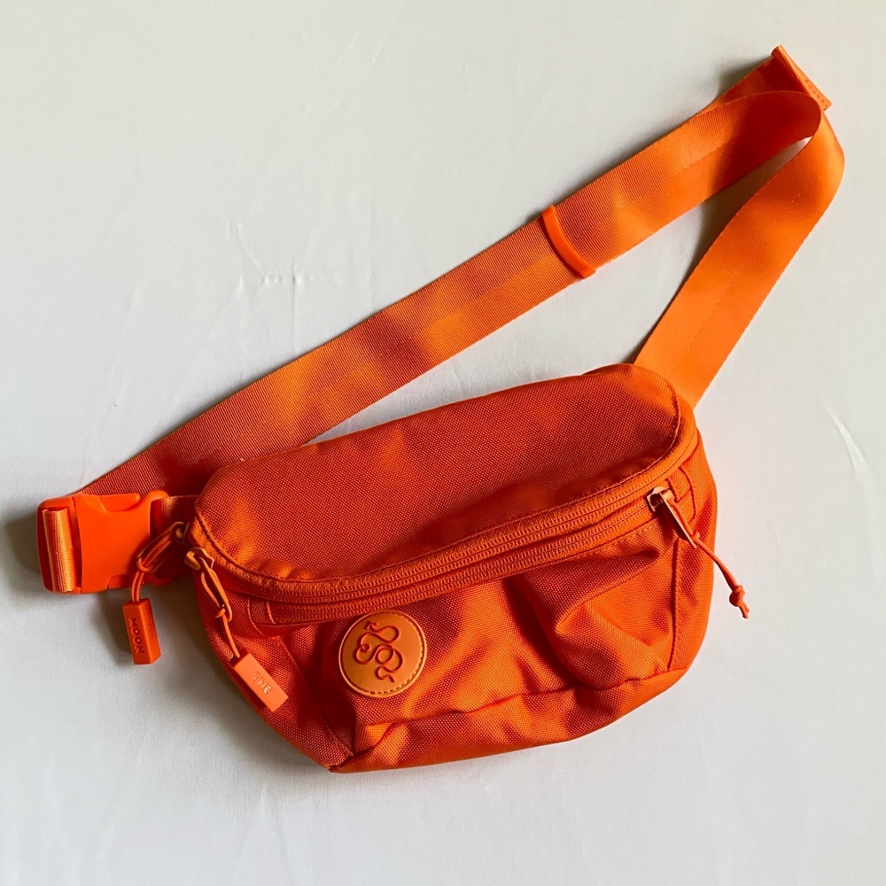 Baboon to the Moon - 3L Fanny Pack